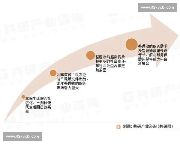 以专家点评为核心透视行业趋势与关键问题深度解析现状与未来发展路径